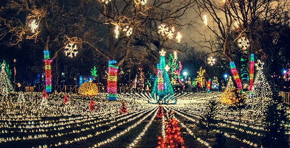 Comed Shares The Light By Supporting Community Holiday Lighting Comed Shares The Light By Supporting Community Holiday Lighting Events